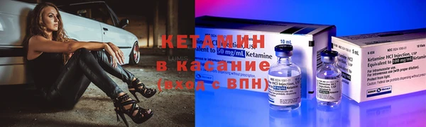 прущие грибы Баксан