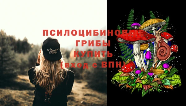 mdma Протвино