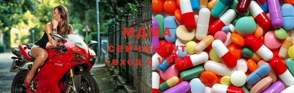 прущие грибы Баксан