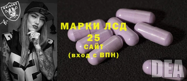 прущие грибы Баксан