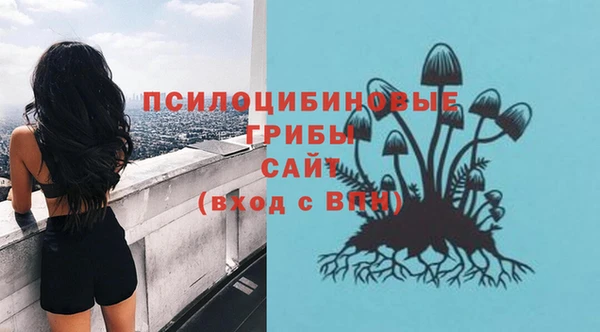 ешки Балахна