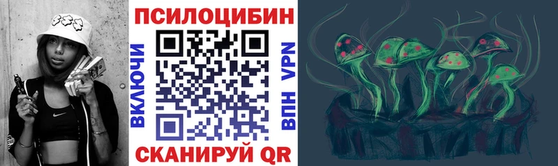 хочу наркоту  Шацк  Галлюциногенные грибы Psilocybine cubensis 
